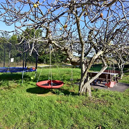 Silva 3 Prizemlje By Interhome Appartement