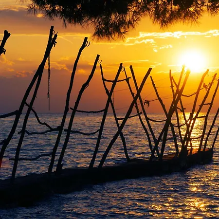 Silva 3 Prizemlje By Interhome